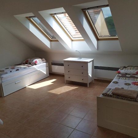 Apartment Koprivovi Němčičky 外观 照片